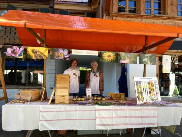 Infostand rund um die Honigbiene
Heute am Alpkäse- und Glockenmarkt in Saanen
#Biene #biosuisse #Honig